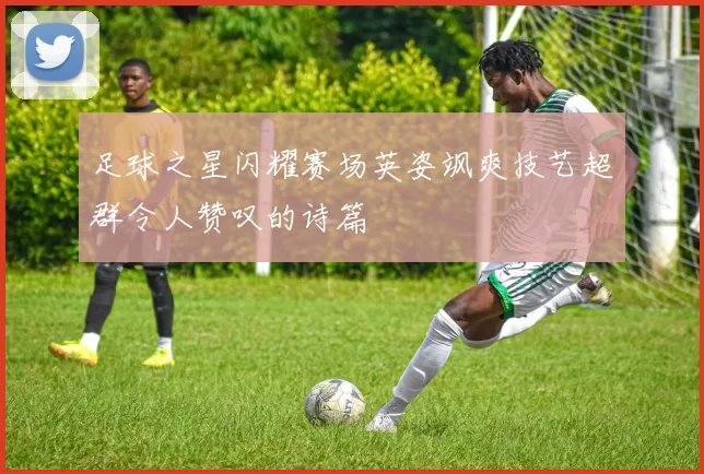 足球之星闪耀赛场英姿飒爽技艺超群令人赞叹的诗篇