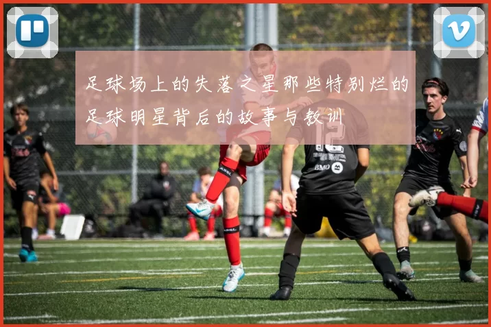 足球场上的失落之星那些特别烂的足球明星背后的故事与教训