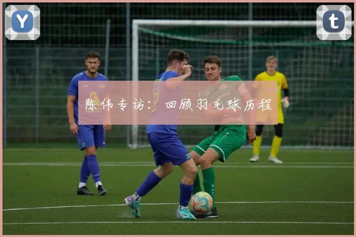 陈伟专访：回顾羽毛球历程