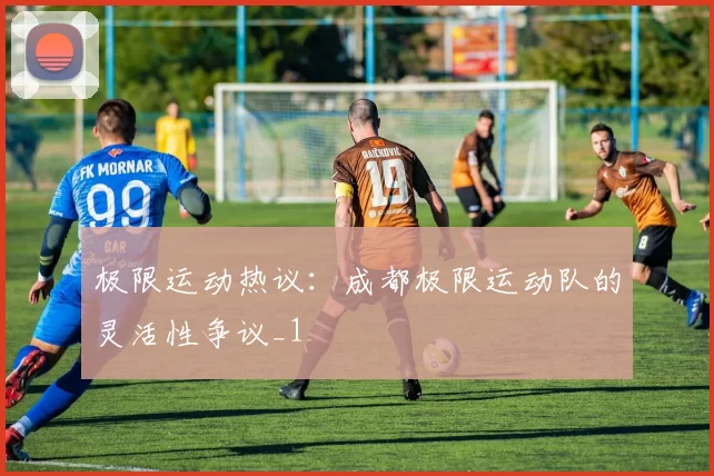 极限运动热议：成都极限运动队的灵活性争议_1