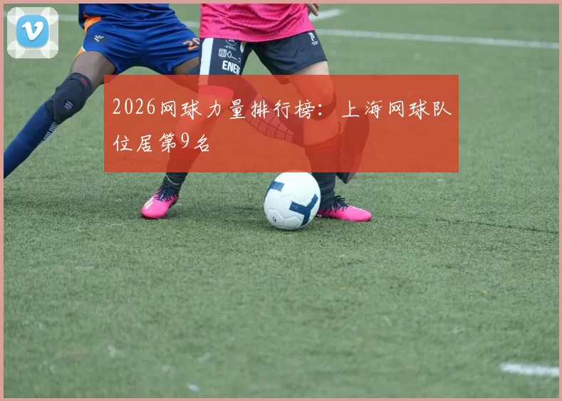 2026网球力量排行榜：上海网球队位居第9名