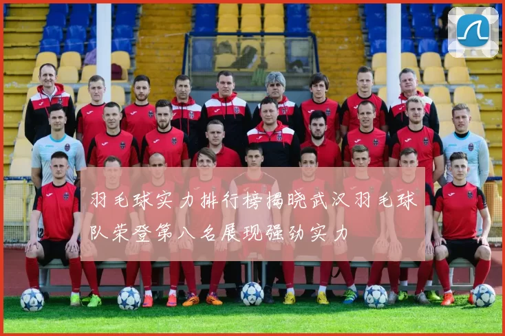 羽毛球实力排行榜揭晓武汉羽毛球队荣登第八名展现强劲实力